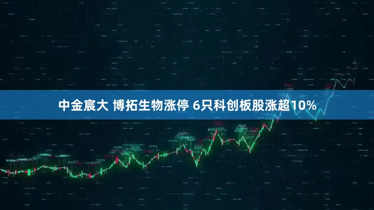 中金宸大 博拓生物涨停 6只科创板股涨超10%